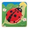Bigjigs Toys Puzzle de potrivire ciclurile de viață ale buburuzei