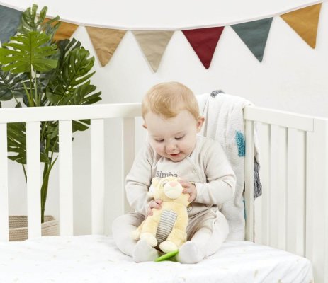 Le Roi Lion d'activité arc-en-ciel en peluche avec anneau de dentition