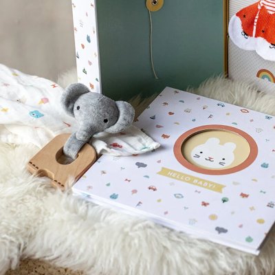 Massaggiagengive Elefante Petit Collage