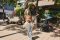 EASYWALKER Carrinho de Bebé Combinado Harvey⁵ Premium Jade Green XXL RWS