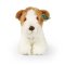 Rappa Plüss foxterrier kutya 20 cm ECO-FRIENDLY