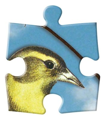 Galison Dubbelzijdige Puzzel Vogelsymfonie 250 stukjes