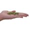 Mojo Mini monde Insectes et araignées 12 pcs