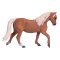 Mojo Cavalo morgan palomino