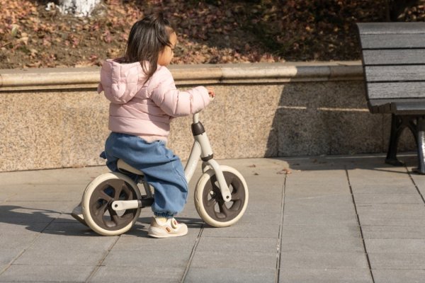 QPLAY Laufrad Trainer Pink, Alter 2-4 Jahre