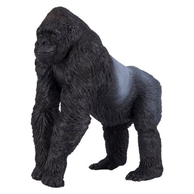 Mojo Gorila macho de costas prateadas