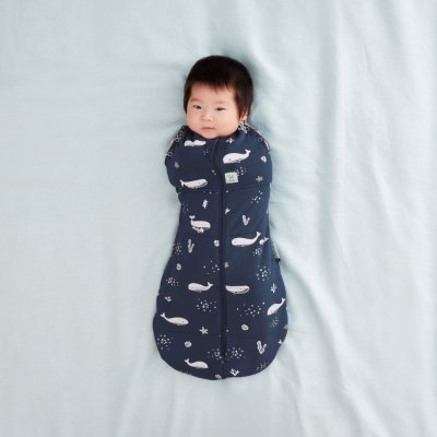 ERGOPOUCH Otulacz i śpiworek 2w1 Cocoon Whale 6-12 m, 8-10 kg, 2,5 tog