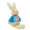 Lapin Pierre arc-en-ciel en tricot doux