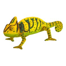 Mojo Chameleon