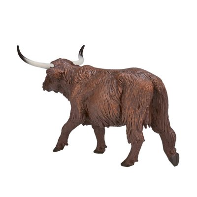 Mojo Touro Highland Escocês
