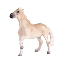 Mojo Yegua Brumby