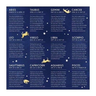 Galison Puzzle Katzen-Tierkreiszeichen 500 Teile