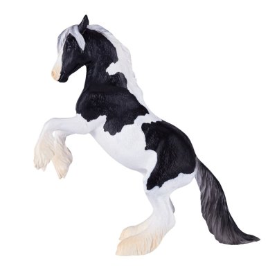 Mojo Irish Cob Stallion