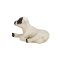 Mojo Hampshire Lamm liegend