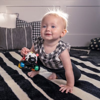 OBALL Autíčko a hrkálka 2v1 Curious Car zebra Zen™ 3m+