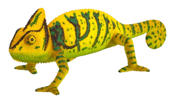 Modelos de animais e figuras - Material - plast