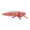 Mojo Axolotl