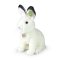 Rappa Iepure de pluș polar șezând 30 cm ECO-FRIENDLY