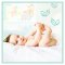 PAMPERS Premium Care Wegwerfwindeln 2 (4-8 kg) 68 Stk