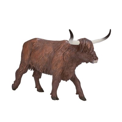 Mojo Touro Highland Escocês