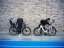THULE Fahrradsitz RideAlong 2 Dunkelgrau