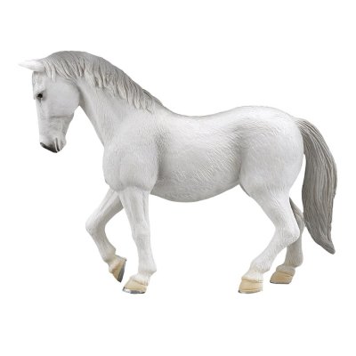 Yegua Lipizzaner Mojo