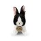 Rappa Plüschkaninchen weiß-schwarz sitzend 16 cm ECO-FRIENDLY
