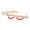 small foot Holzschaukel 3in1