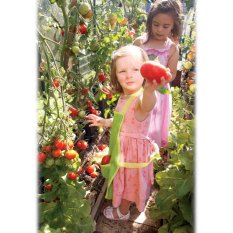 Bigjigs Toys Gartenschürze grün mit Marienkäfer