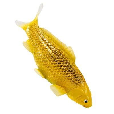 Mojo Carpa koi kin matsuba