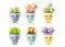 Sluban Flowers M38-B1076 Sukulenti u posudi Zaslon 6 kom