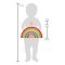 small foot Motorik-Regenbogen Safari aus Holz