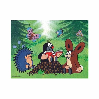 Dino Holzbausteine Maulwurf und Tiere 12 Stk.