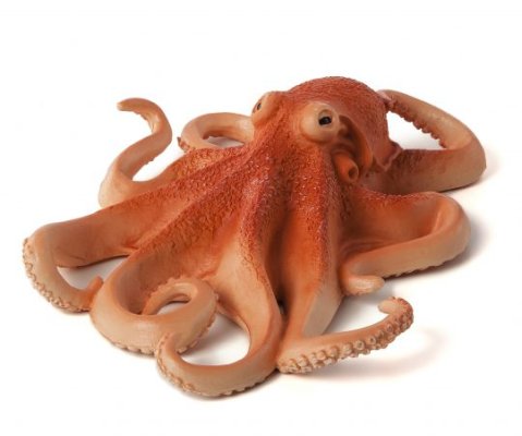 Mojo Octopus escuro