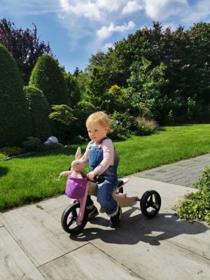 small foot Bicicleta de equilibrio de madera Trike 2 en 1 rosa
