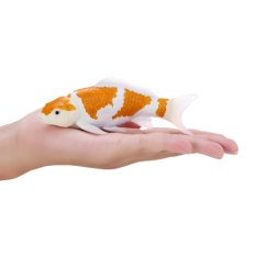 Mojo Koi-Karpfen Ochiba Shigure in der Box