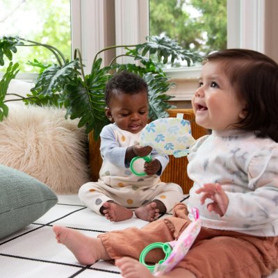 INGENUITY Sensorik-Spielzeug am C-Ring Crinklet™ Waschbär Deni 0m+
