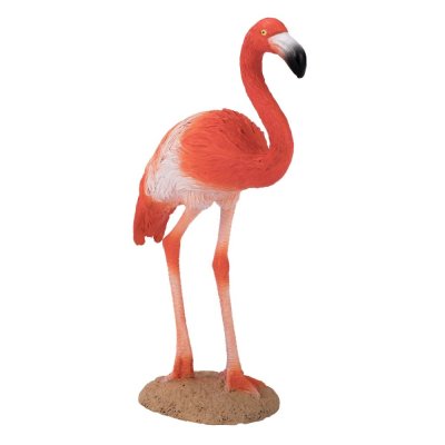Mojo Flamingo Caraibean