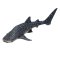 Mojo Whale Shark