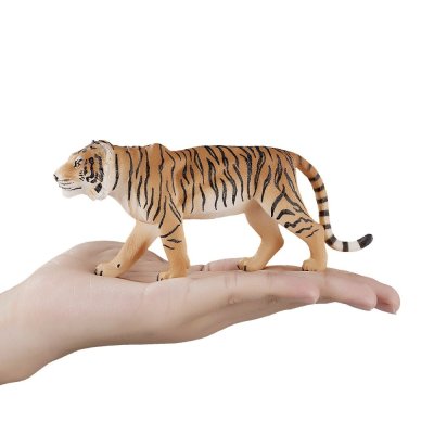 Mojo Tygrys bengalski