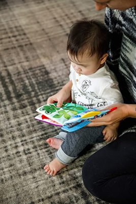 BABY EINSTEIN Grizalo/knjiga Curious Explorers™0m+