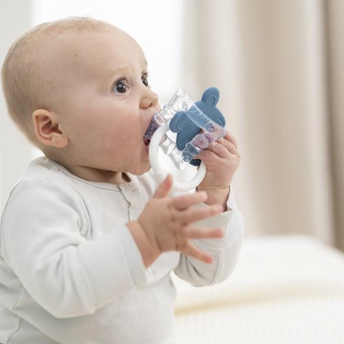 NATTOU Silicone teether with cooling part BPA-free blue mouse