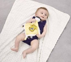 Rainbow Harry Potter Plüsch-Schmusetuch Hufflepuff