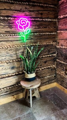 2Kids Toys LED NEON LIGHT Lampa Ros