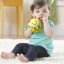 SKIP HOP Rattle for the development of motor skills round in the hand Bee 3m+