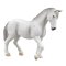 Yegua Lipizzaner Mojo