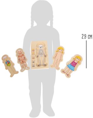 small foot Drewniane puzzle anatomia
