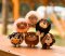 2Kids Toys Holzfigur XL Bommel Katze