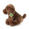 Rappa Chien en peluche labrador assis 26 cm ECO-FRIENDLY