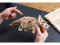 Ugears Puzzle 3D de madera mecánico Triceratops